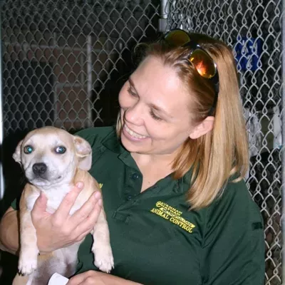 Image: Shelter animals transported to ATL