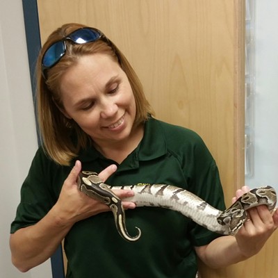 Animal Control recovers exotic species