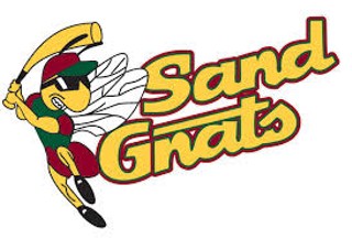 Baseball: Canned Food Drive at Savannah Sand Gnats Game