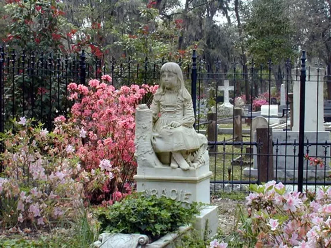 47331e20_bonaventure1.webp
