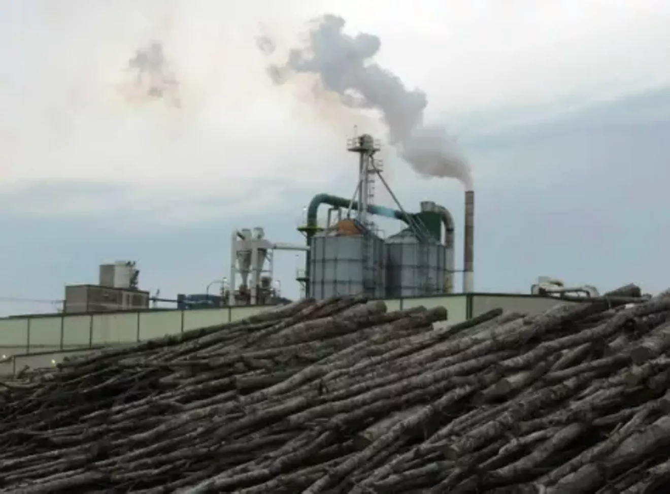 Forests being turned into fuel pellets, Wiggins, MS