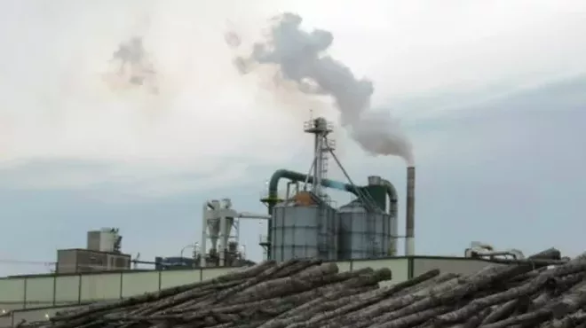 Image: Our Forests Aren't Fuel