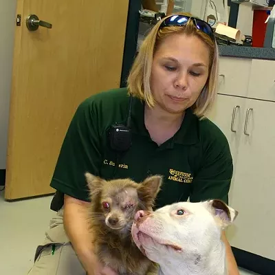 Image: Home sought for doggy duo
