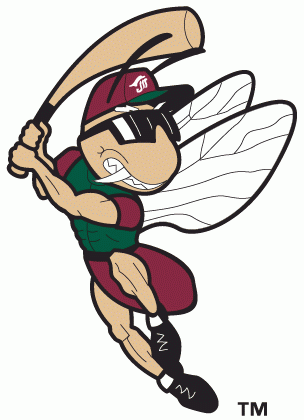 Image: Savannah Sand Gnats