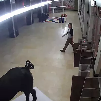 Image: SCAD Library vandal sought