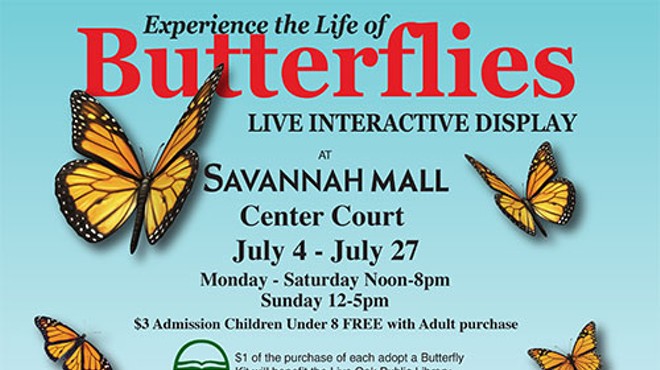 The Life of Butterflies