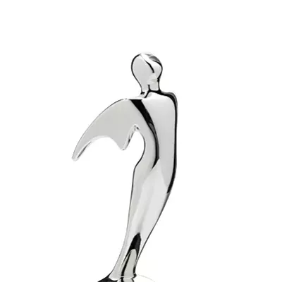 Image: Jordan's Cosmos Mariner racks up awards
