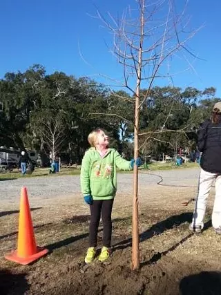 Image: Tree Mulching Volunteer Project