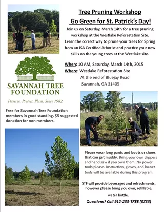 Image: Tree Pruning Workshop