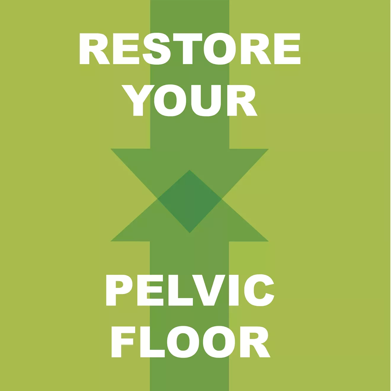 oct_pelvic_floor-ig.webp