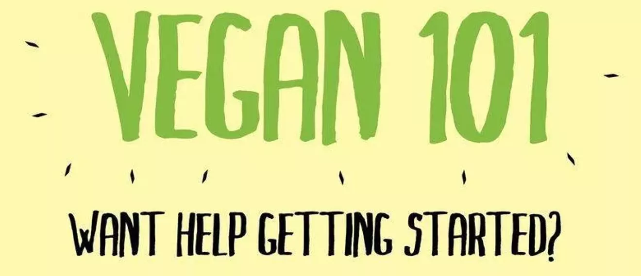 img_0361_vegan_101.webp