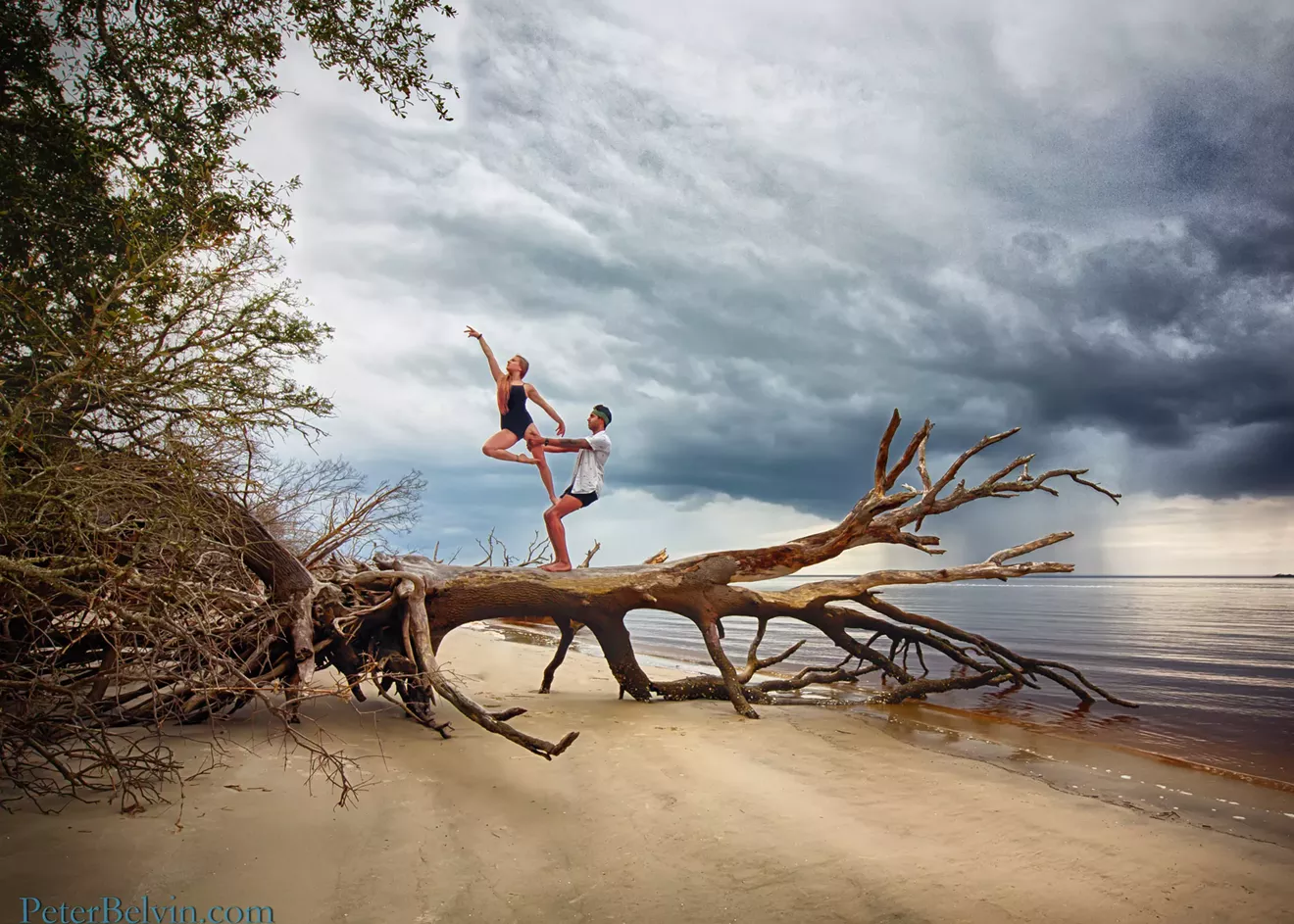 jekyll_2019-5.webp