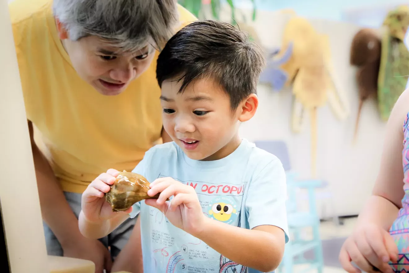 Visitors at the UGA Aquarium interact with whelks in the touch tanks
