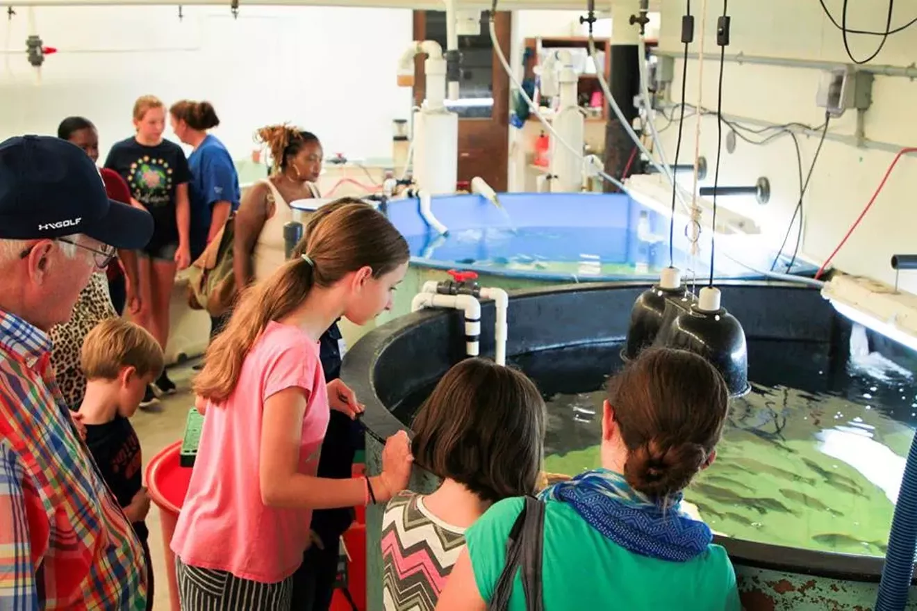 Visitors explore behind the scenes of the UGA Aquarium