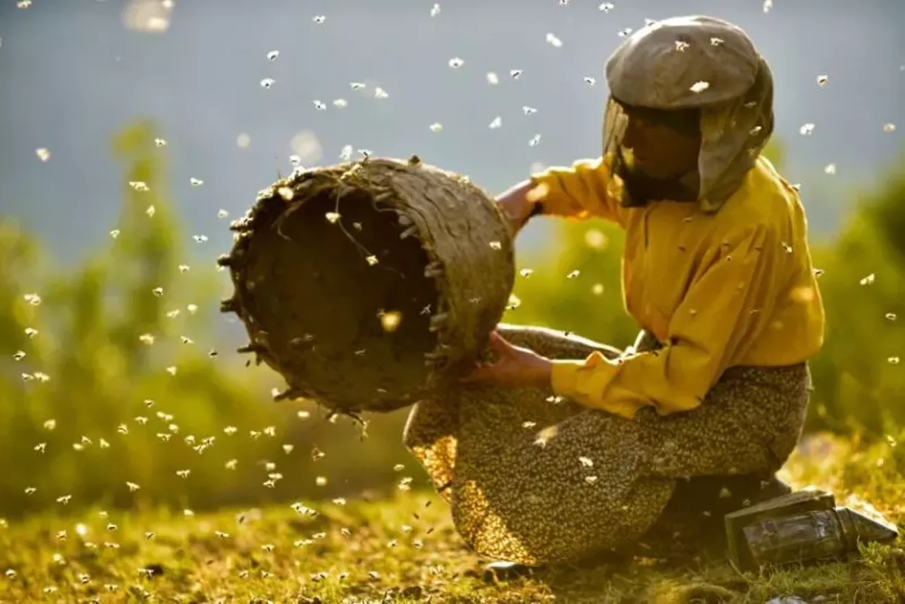 film-honeyland-2.webp