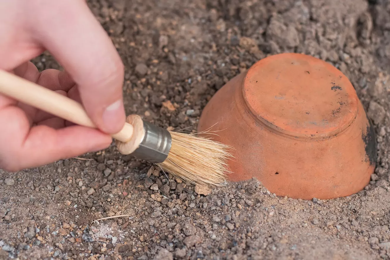 archeology_day.webp