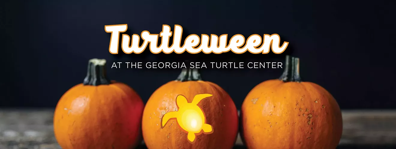 turtleween.webp