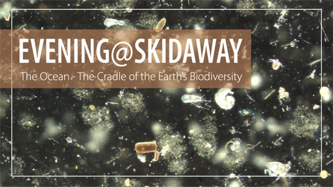 evening_at_skidaway_frischer-650p.png