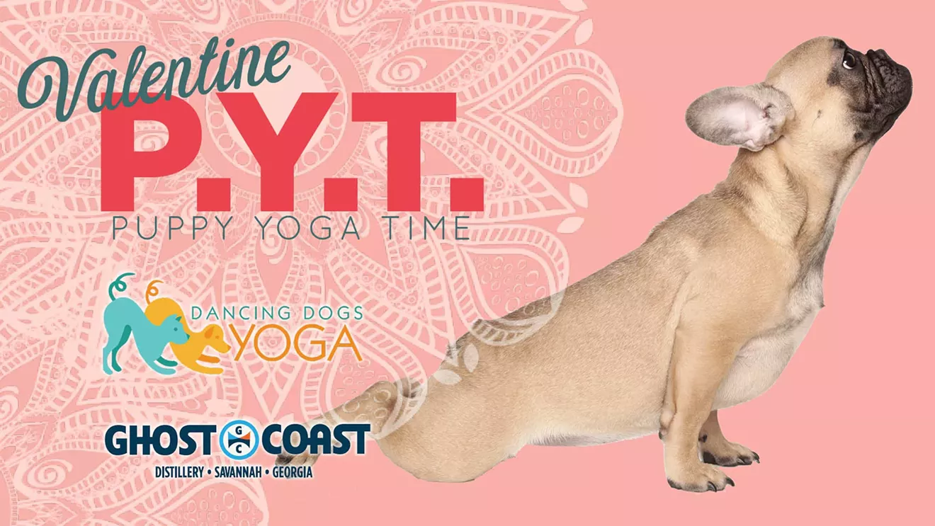 pyt_vday.webp