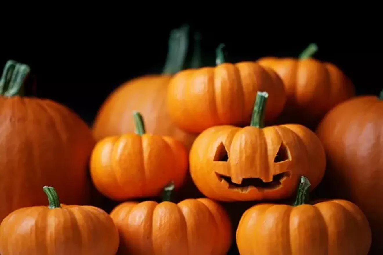 f140775c_pumpkins.webp