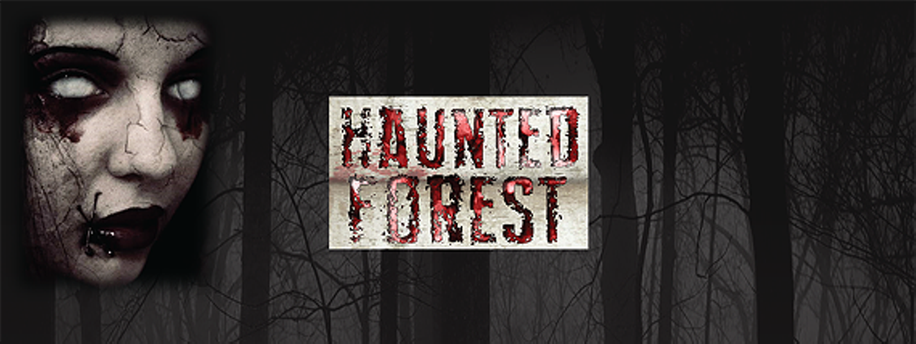 8cc78293_haunted_forest.png