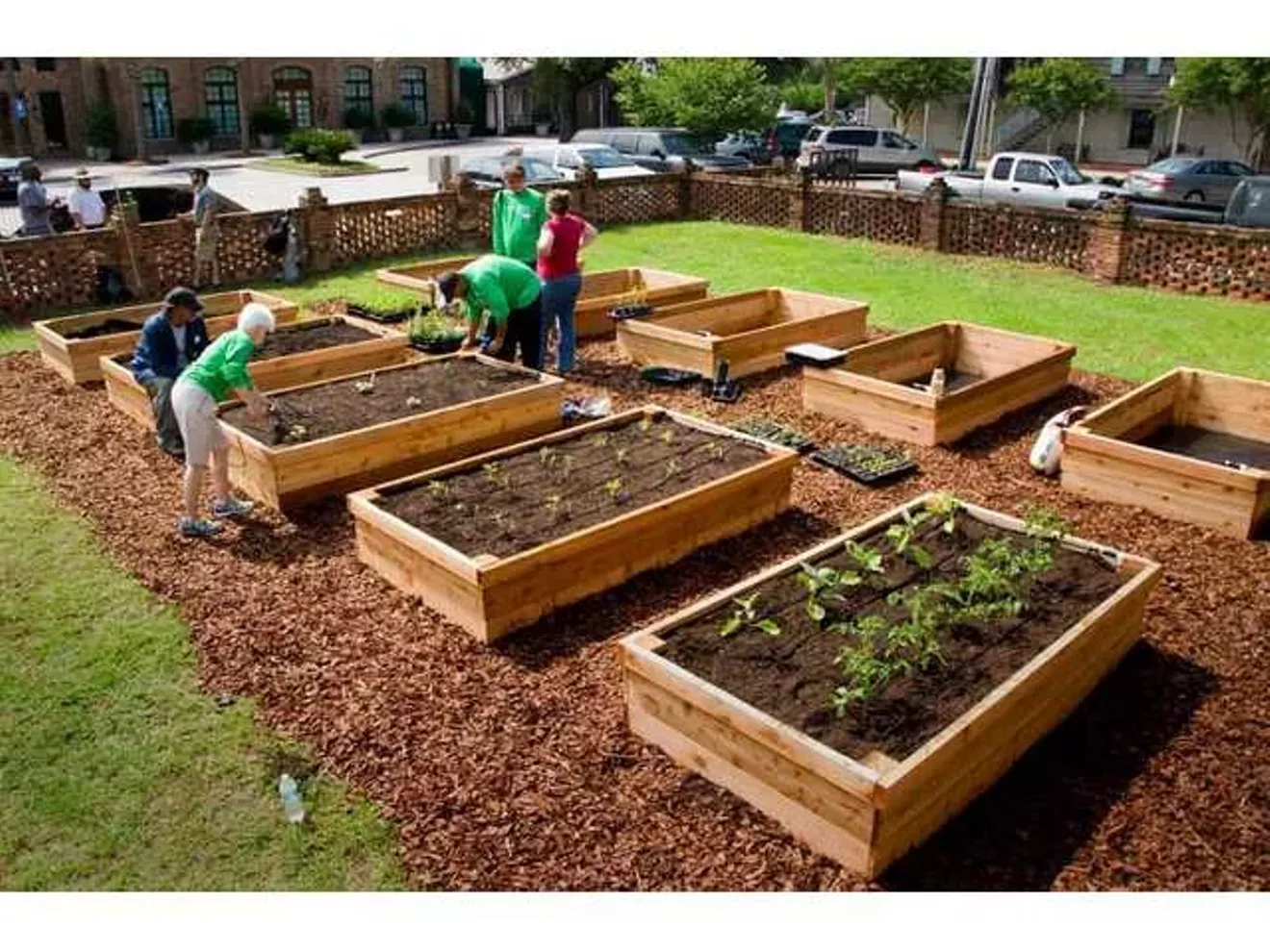 garden_image.webp