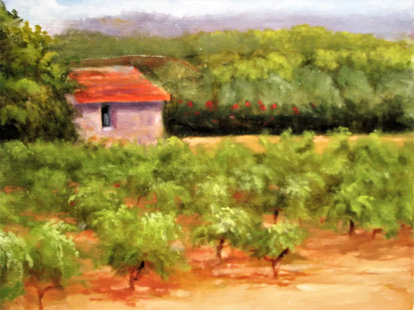 st._vitiore_vineyard_hospice_savannah.webp