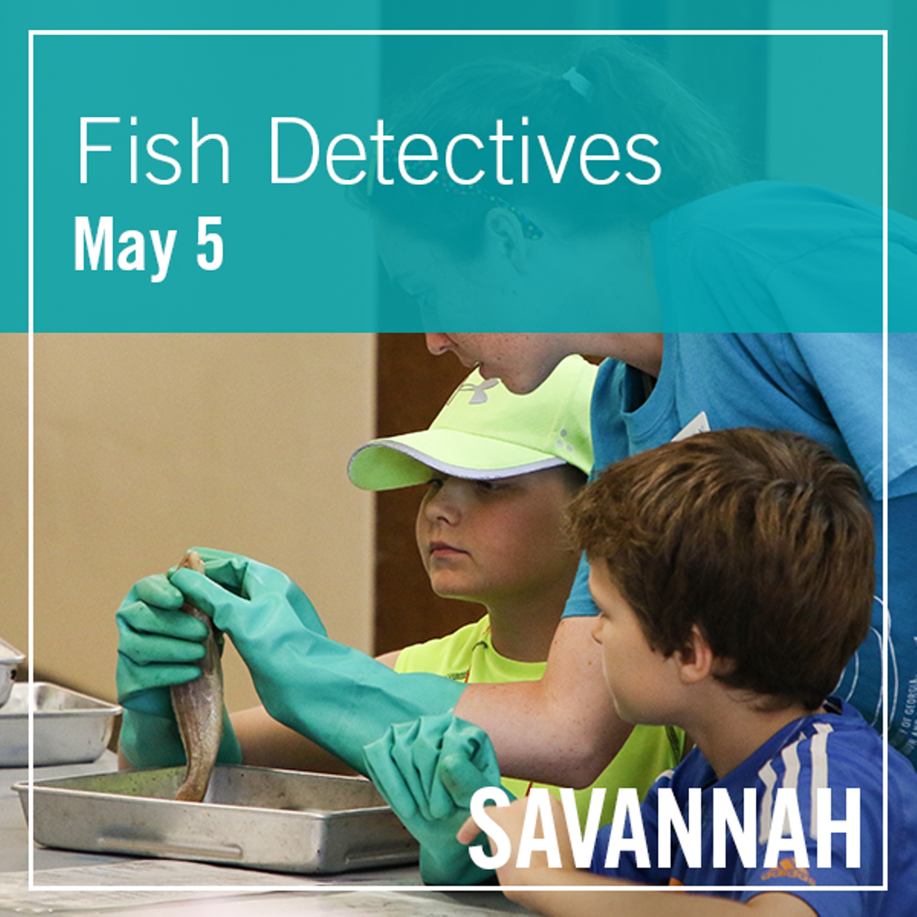 2a4c590f_05-05-fish-detectives.png