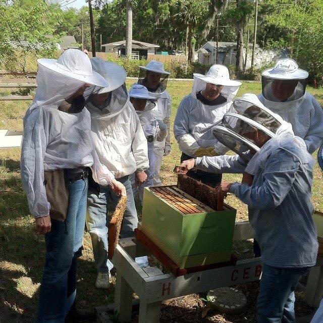 e8d63064_beekeeper-apiary.jpg
