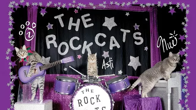 Image: The Amazing Acro-cats