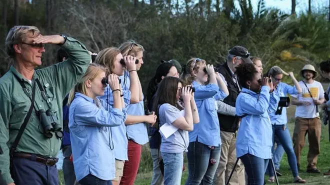 Image: Coastal Stewards: International Shorebird Survey
