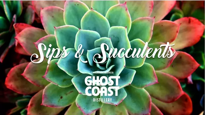 Image: Sips & Succulents