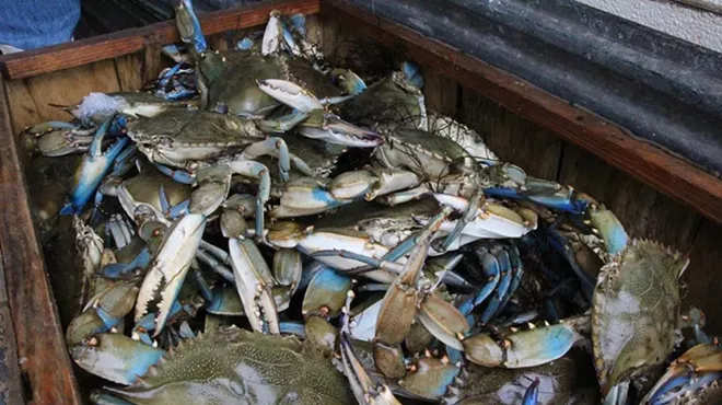 Image: Ocean to Table: Georgia Blue Crab