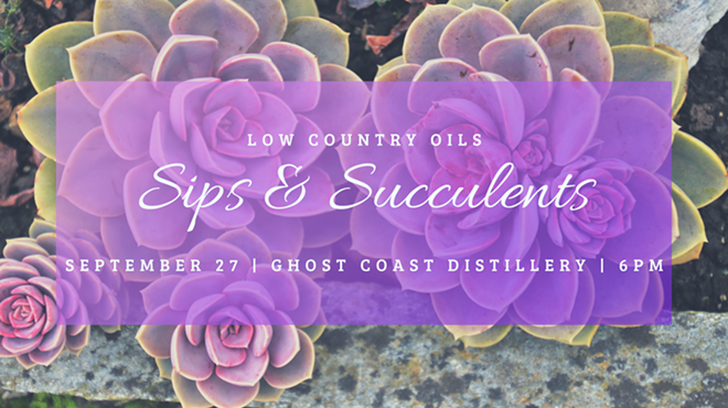 Image: Sips & Succulents
