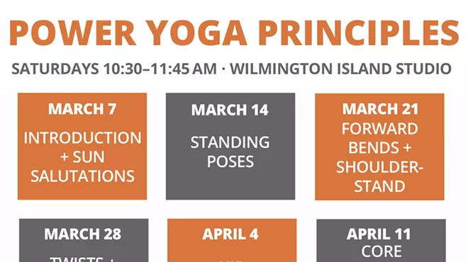 Image: Power Yoga Principles