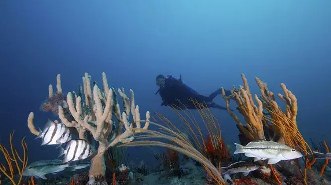 Image: Gray's Reef Sanctuary Advisory Council Meeting