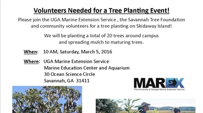 Image: Tree Planting Volunteer Opportunity