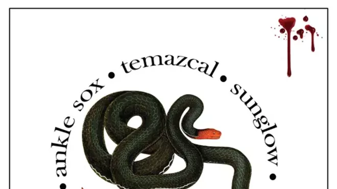 Image: Temazcal Tape Release Show