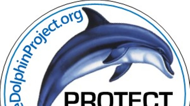 Call for Volunteers for The Dolphin Project