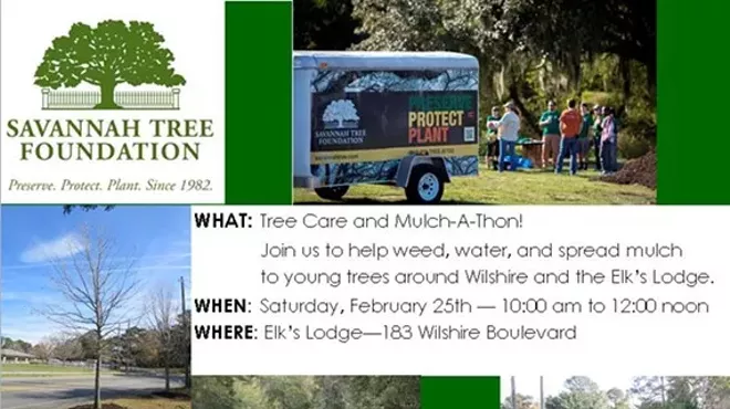 Image: Tree care and Mulch-a-thon