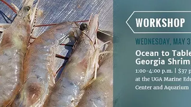 Image: Ocean to Table: Georgia Shrimp