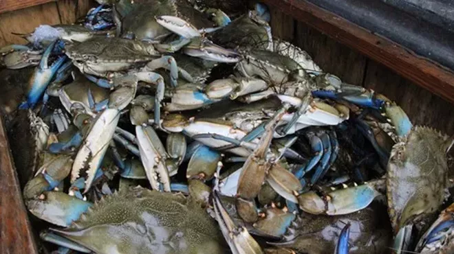 Image: Georgia Blue Crab: Coastal Stewards Workshop