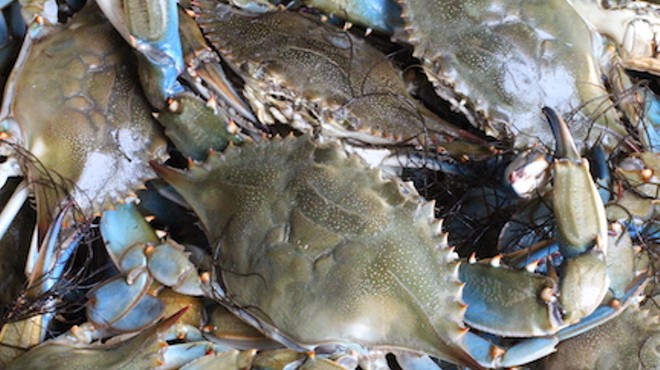 Ocean to Table: Blue Crab