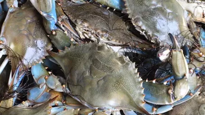 Image: Ocean to Table: Blue Crab