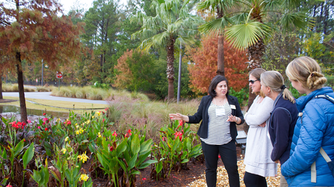 Image: Coastal Stewards Workshop: Stormwater and Green Infrastructure