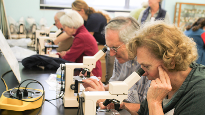 Image: Winter Science Series: Incredible Invertebrates