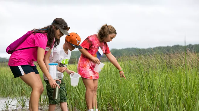 Image: Family Field Trip