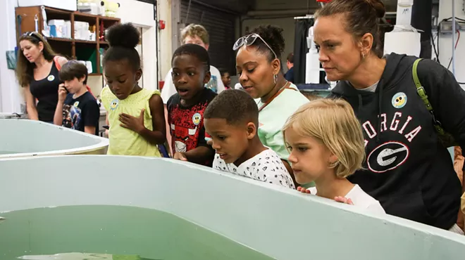 Image: Behind-the-Scenes Aquarium Tour