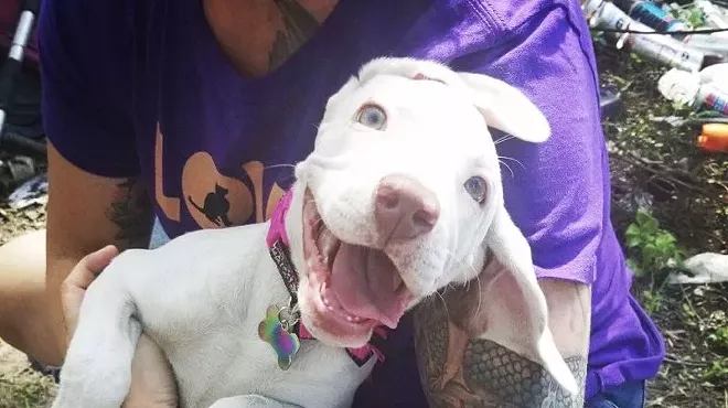 Image: Caring for companions of the homeless