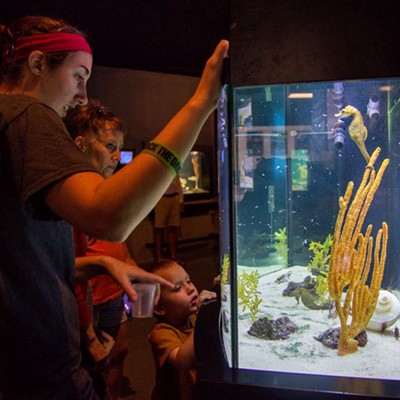 The joy of discovery at the UGA Aquarium